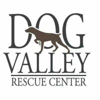 Dog Valley Rescue Center